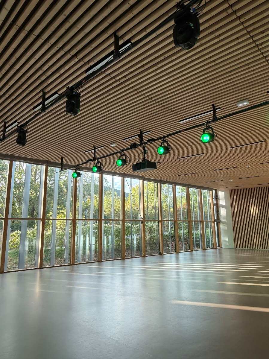 Intégration lumière, son et vidéo dans une salle polyvalente près de Lyon Plafond bois de la salle des fêtes avec projecteurs motorisés, enceintes et vidéoprojecteur, éclairage violet