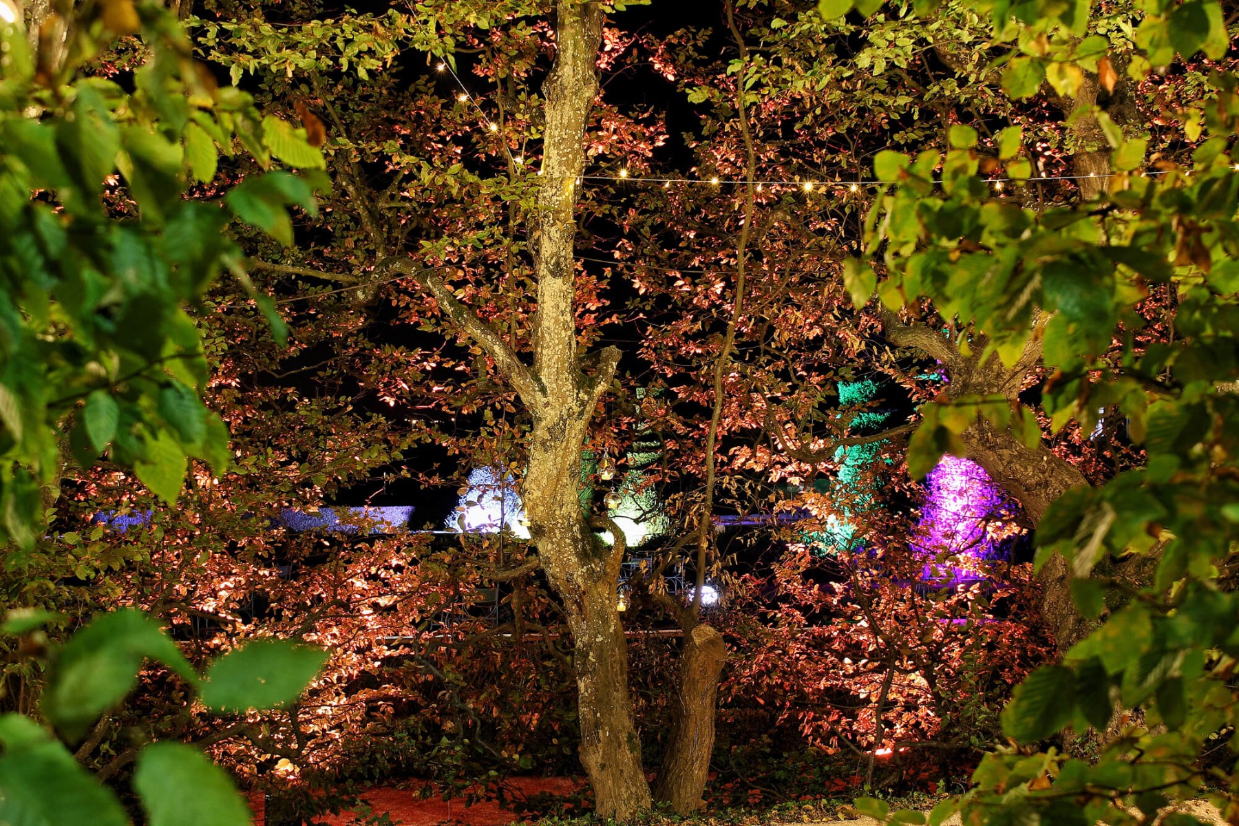 Eclairage extérieur dans les jardins